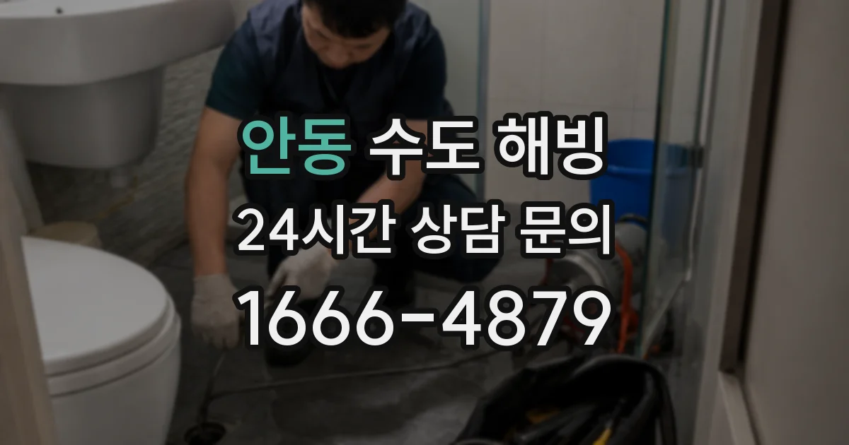 안동 수도 해빙