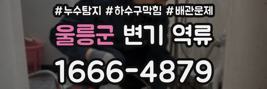 울릉군 변기 역류