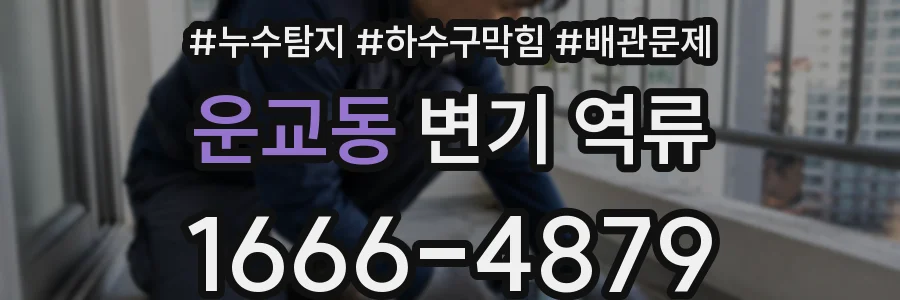운교동 변기 역류