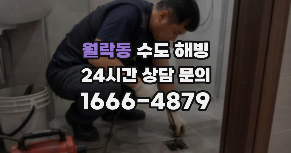 월락동 수도 해빙