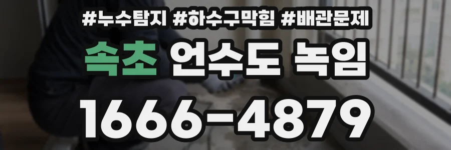 속초 언수도 녹임