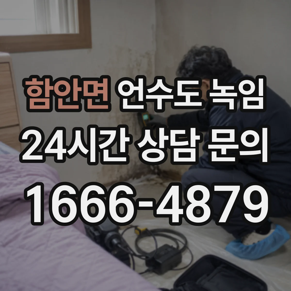 함안면 언수도 녹임