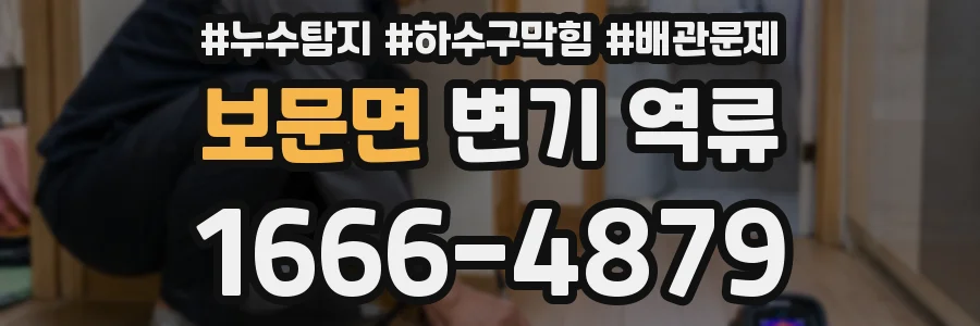 보문면 변기 역류