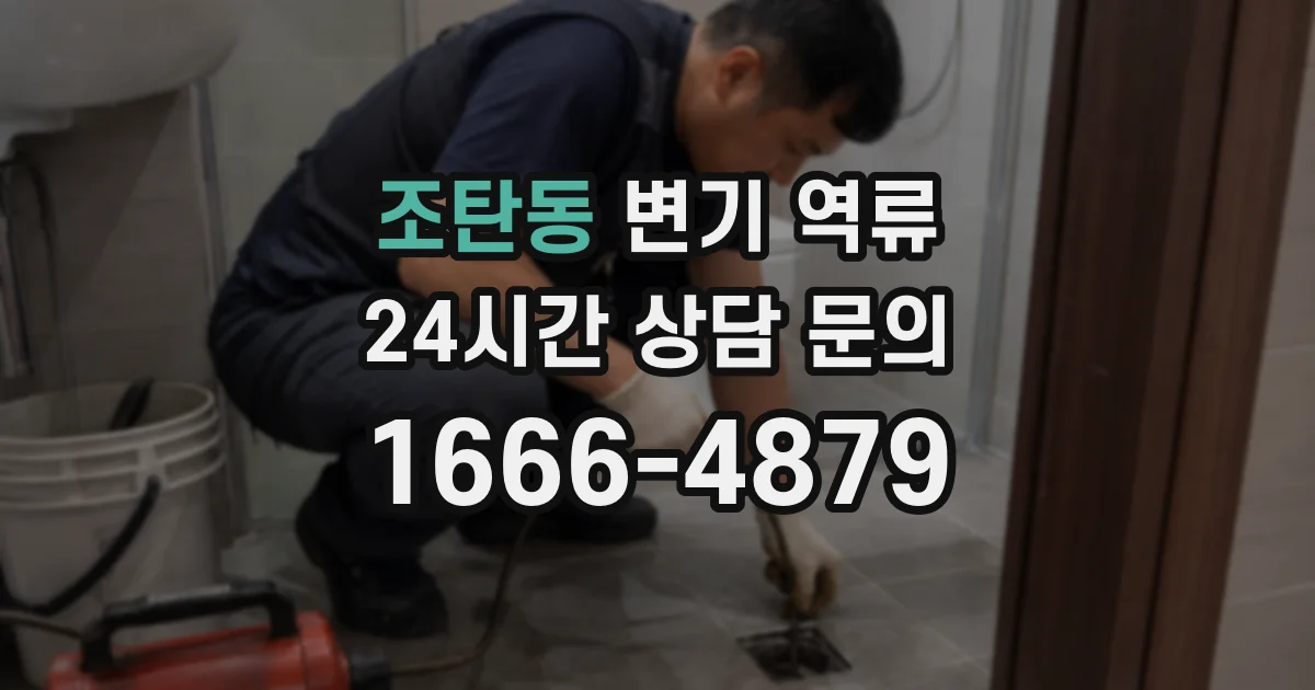 조탄동 변기 역류