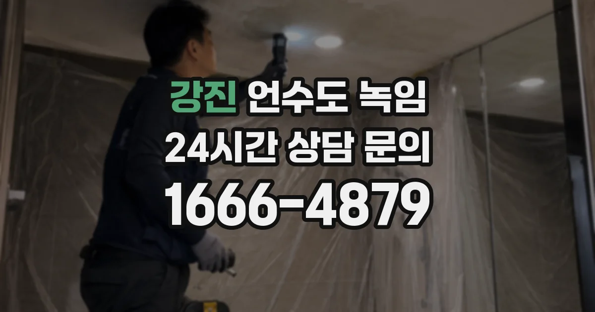 강진 언수도 녹임