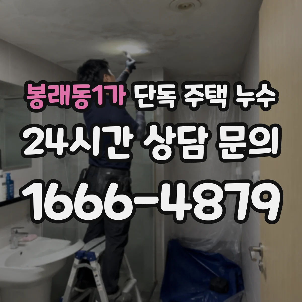 봉래동1가 단독 주택 누수