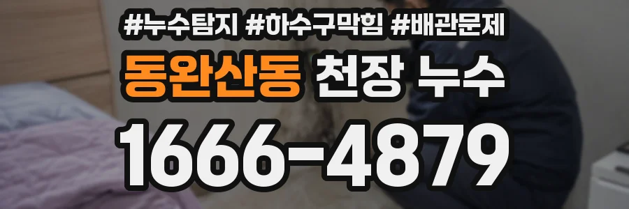동완산동 천장 누수