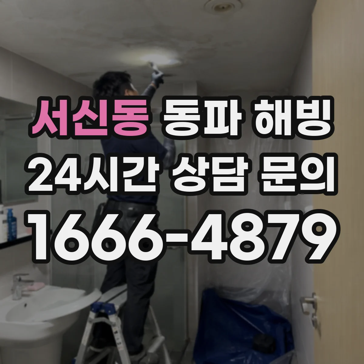 서신동 동파 해빙