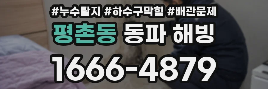 평촌동 동파 해빙