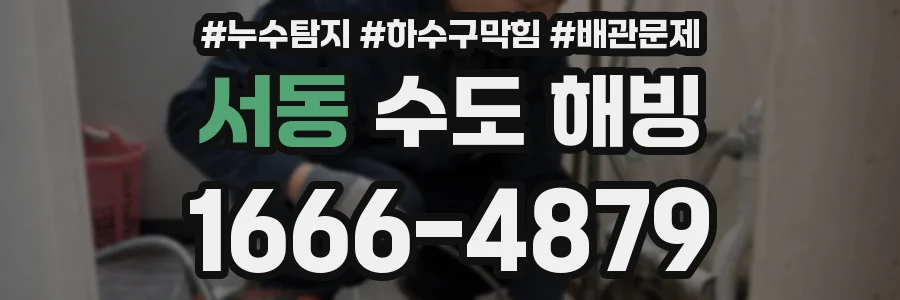 서동 수도 해빙