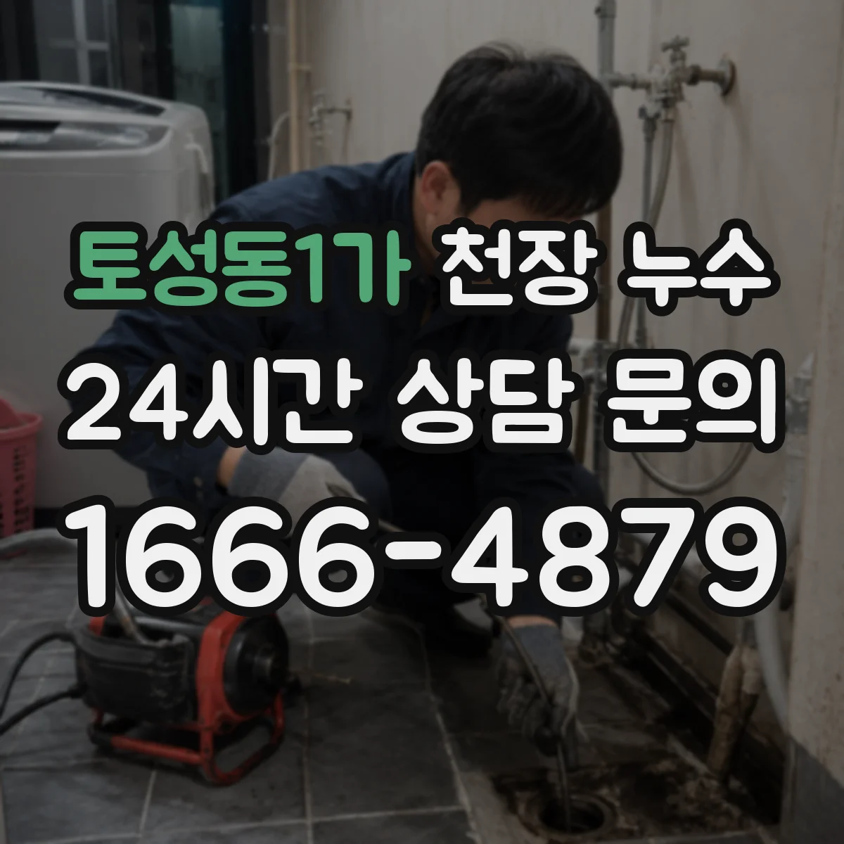 토성동1가 천장 누수