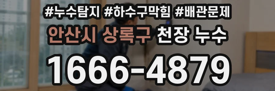 안산시 상록구 천장 누수