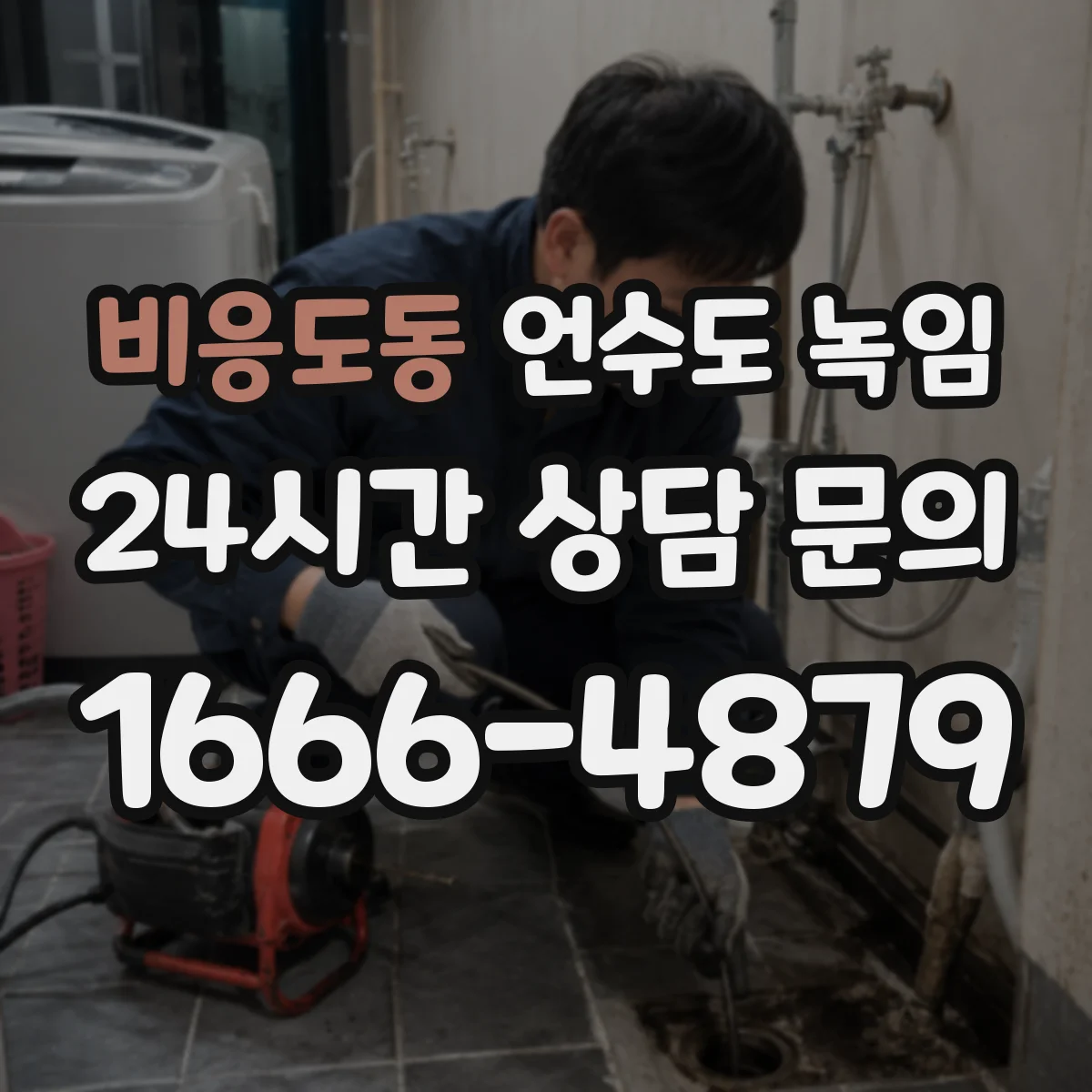 비응도동 언수도 녹임