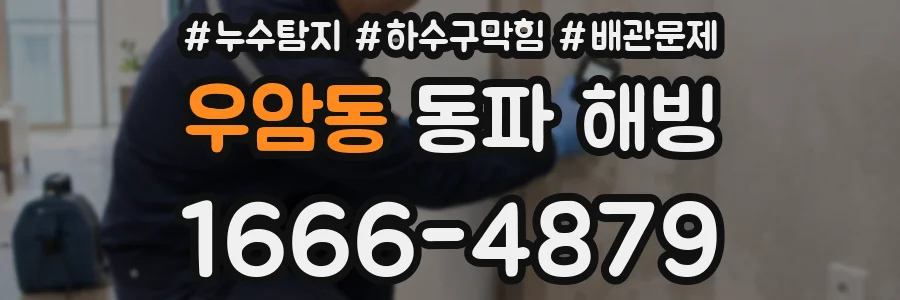 우암동 동파 해빙