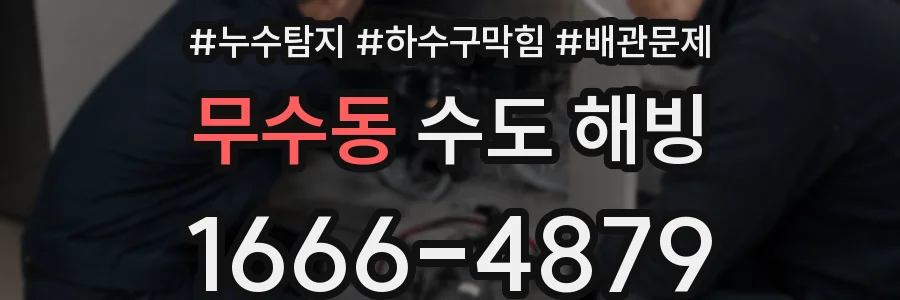 무수동 수도 해빙