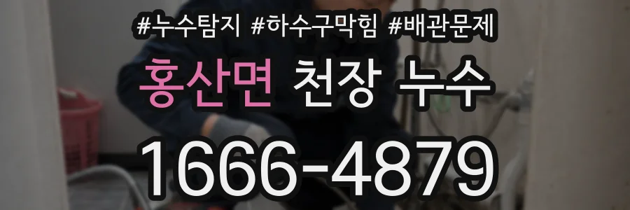 홍산면 천장 누수