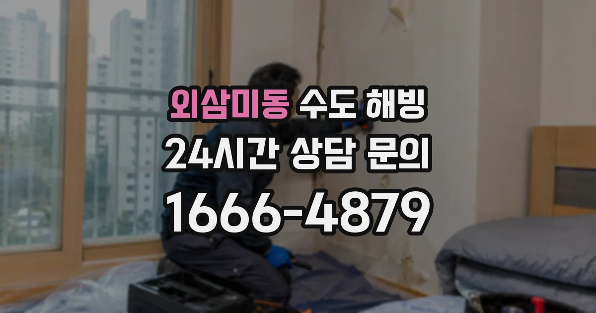 외삼미동 수도 해빙