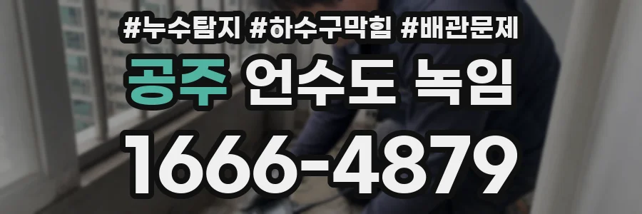 공주 언수도 녹임