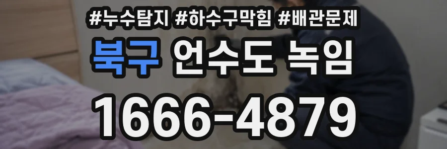 북구 언수도 녹임