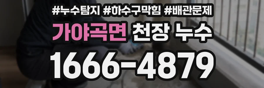 가야곡면 천장 누수