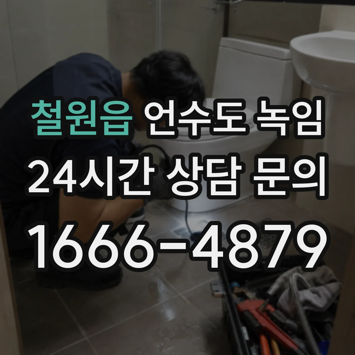 철원읍 언수도 녹임