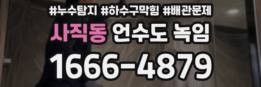사직동 언수도 녹임