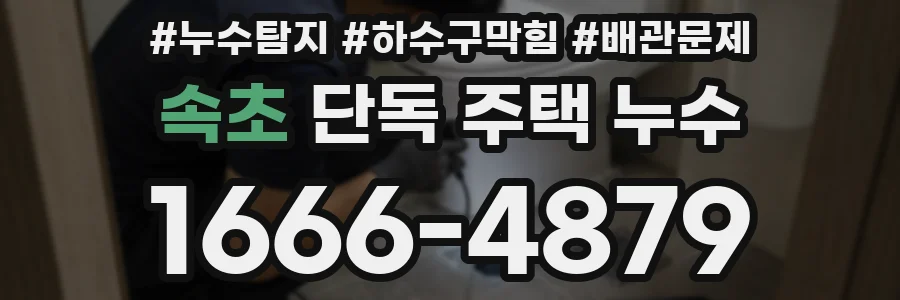 속초 단독 주택 누수