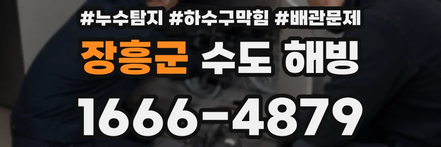 장흥군 수도 해빙