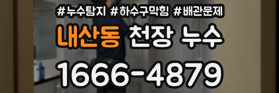 내산동 천장 누수
