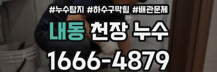 내동 천장 누수