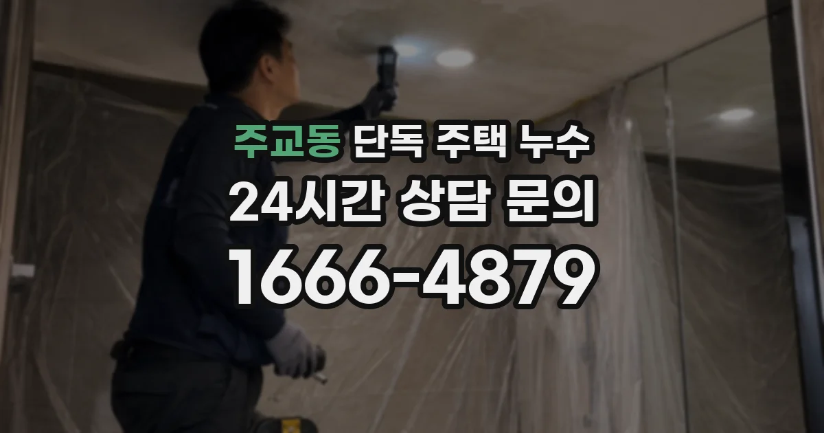 주교동 단독 주택 누수
