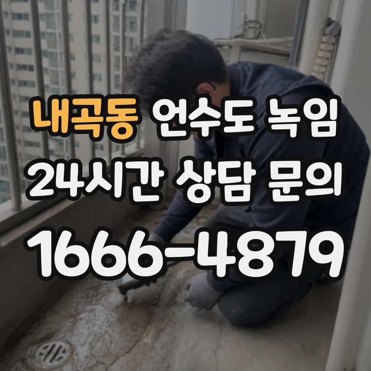내곡동 언수도 녹임