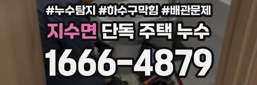 지수면 단독 주택 누수