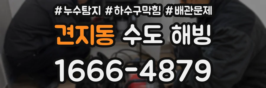 견지동 수도 해빙