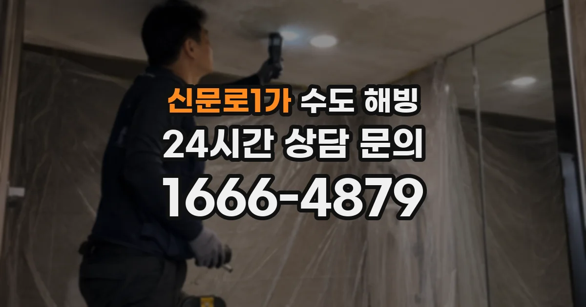 신문로1가 수도 해빙