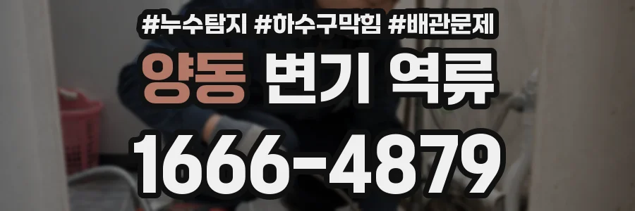 양동 변기 역류
