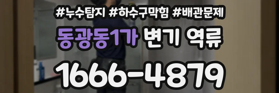 동광동1가 변기 역류