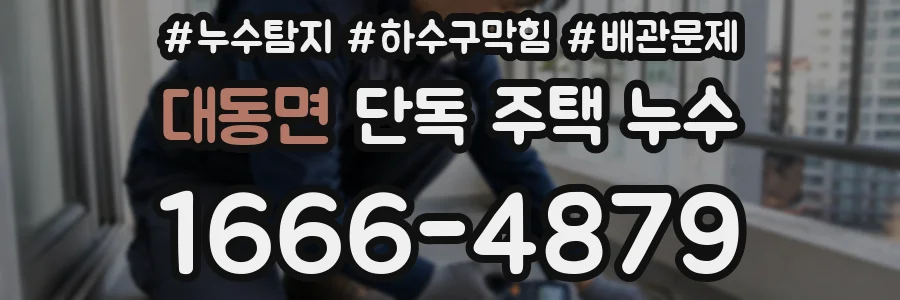대동면 단독 주택 누수