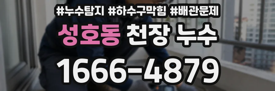 성호동 천장 누수