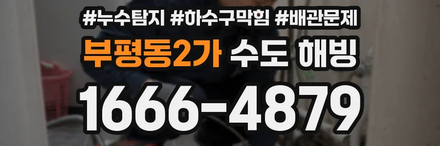 부평동2가 수도 해빙