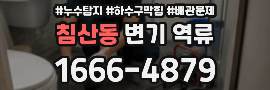 침산동 변기 역류
