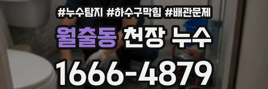 월출동 천장 누수