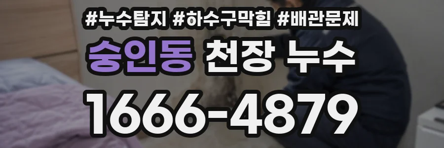 숭인동 천장 누수
