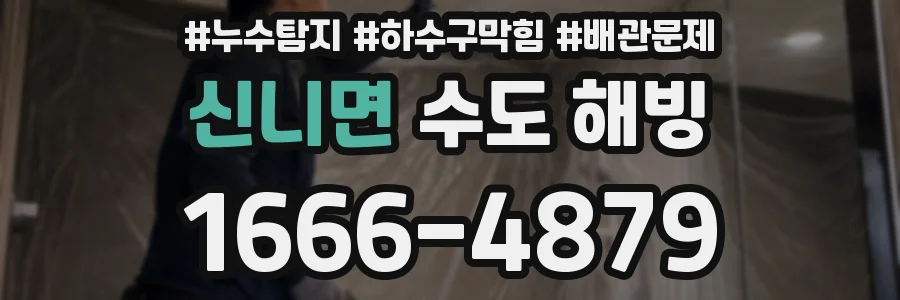 신니면 수도 해빙