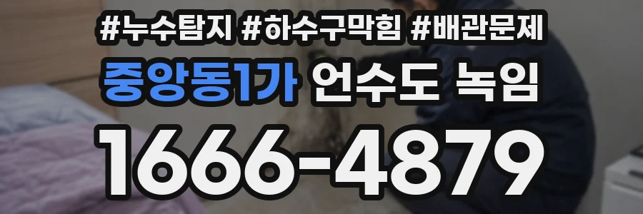 중앙동1가 언수도 녹임
