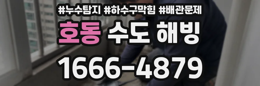 호동 수도 해빙