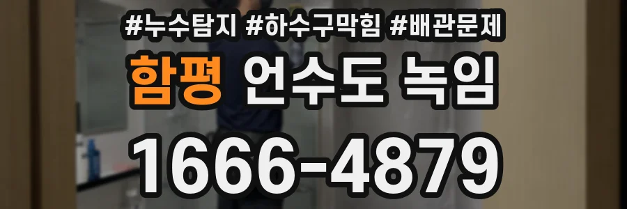 함평 언수도 녹임