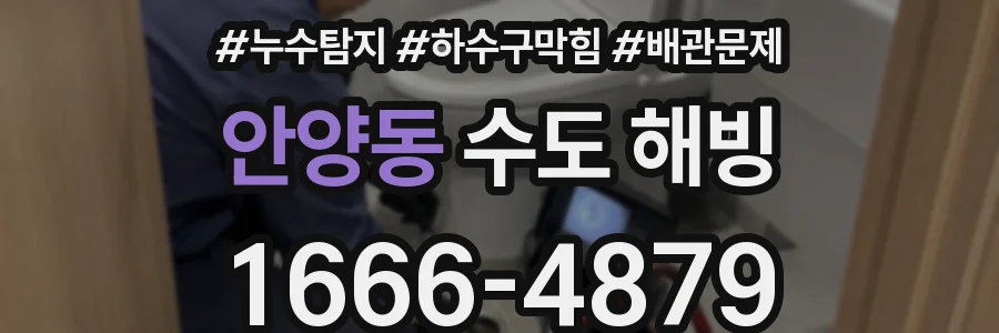 안양동 수도 해빙