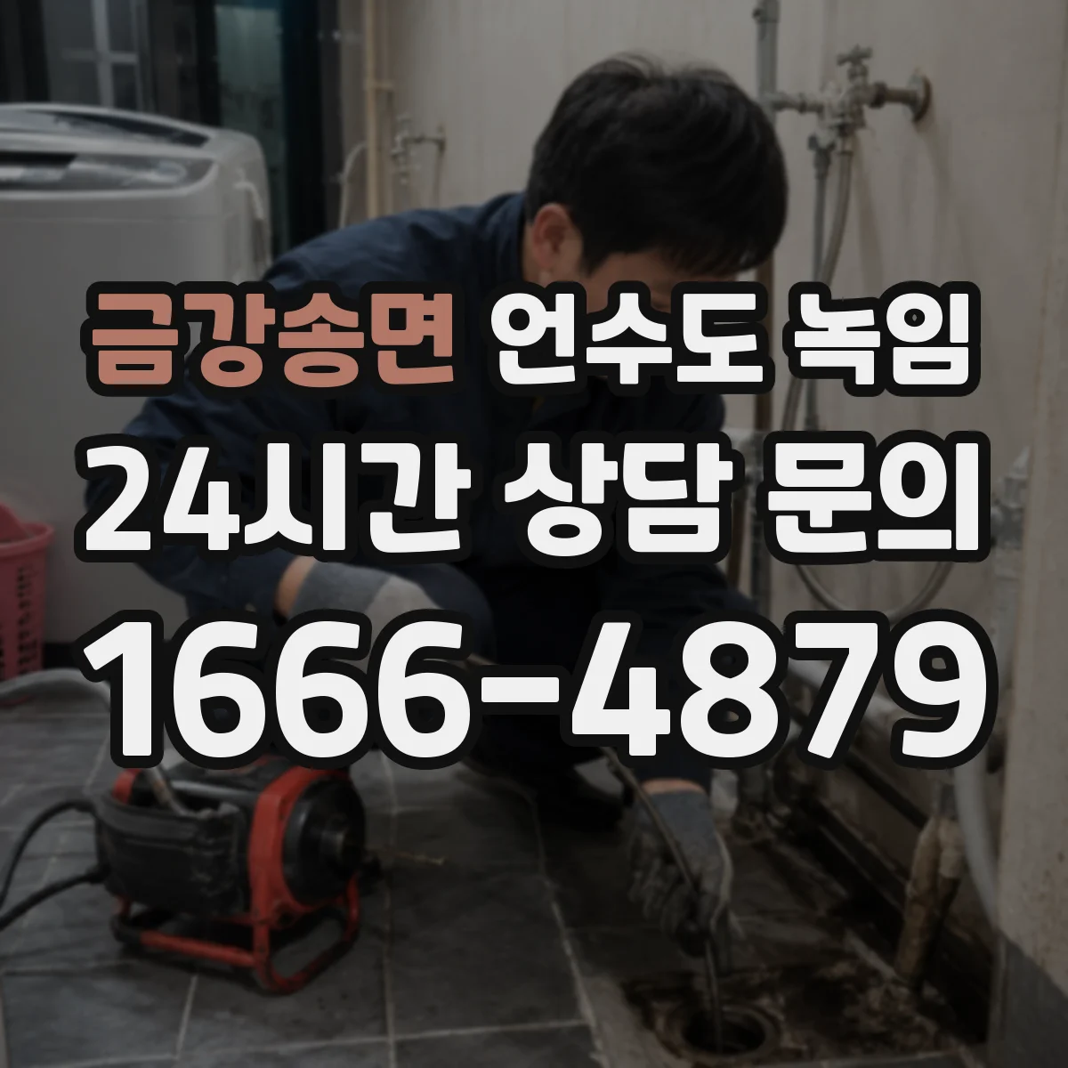 금강송면 언수도 녹임