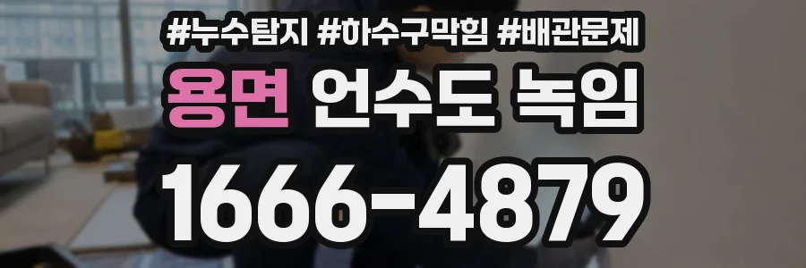 용면 언수도 녹임